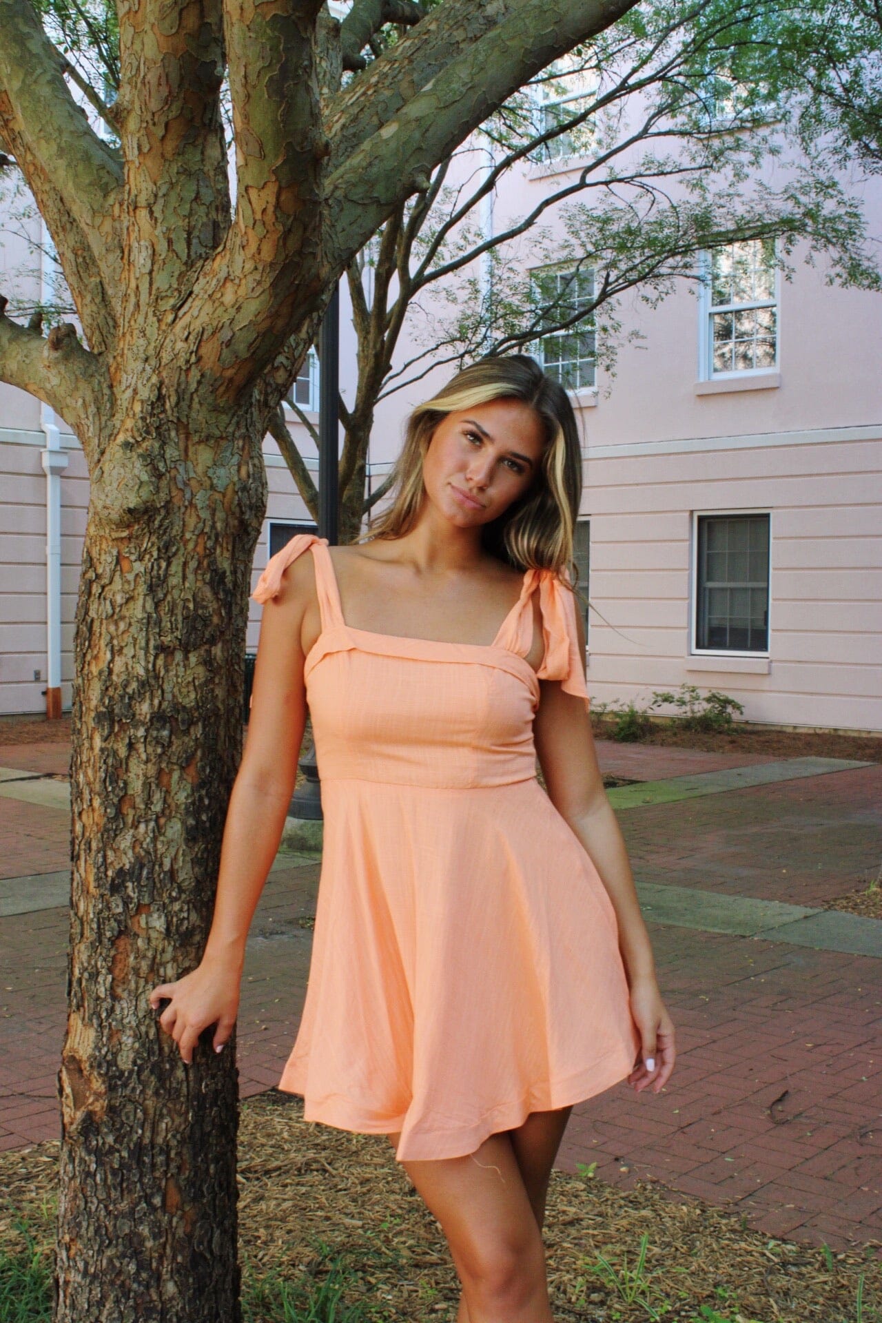 Clementine Dress